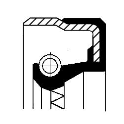 Foto/Grafica