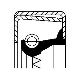 Foto/Grafica
