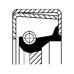 Foto/Grafica