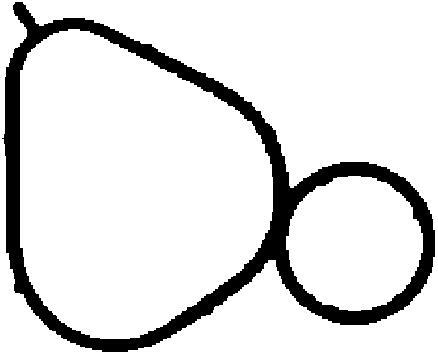 Disegno tecnico