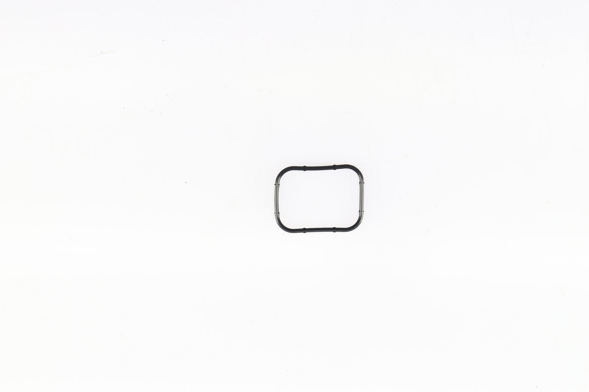 Foto/Grafica