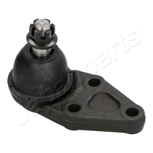 Foto/Grafica