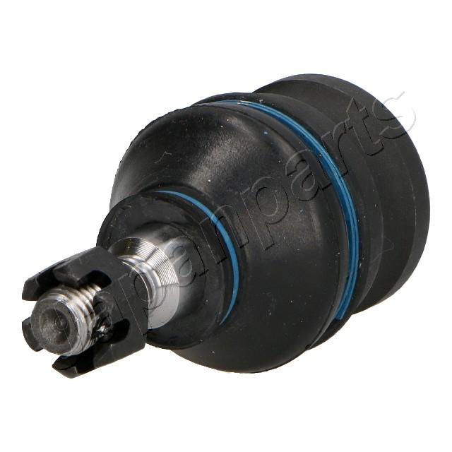 Foto/Grafica