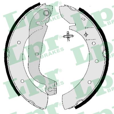 Foto/Grafica