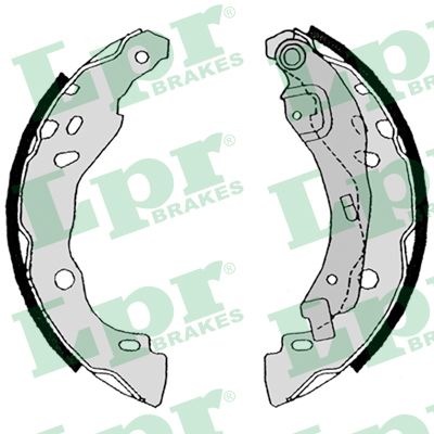 Foto/Grafica