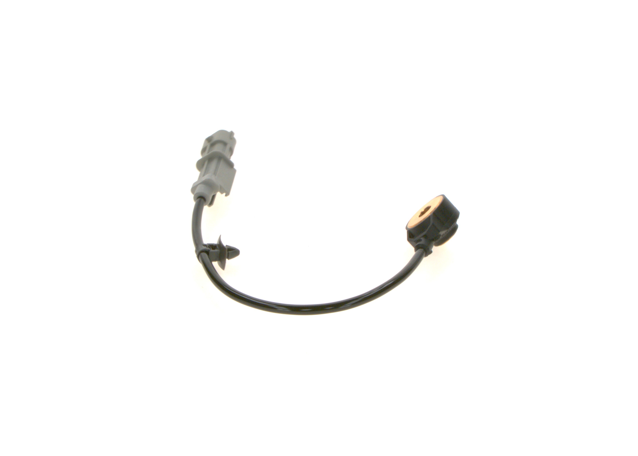 Foto/Grafica