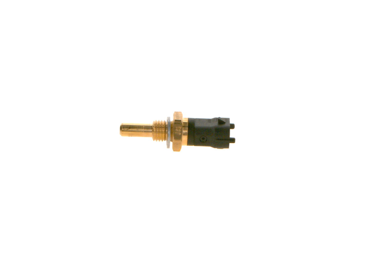 Foto/Grafica