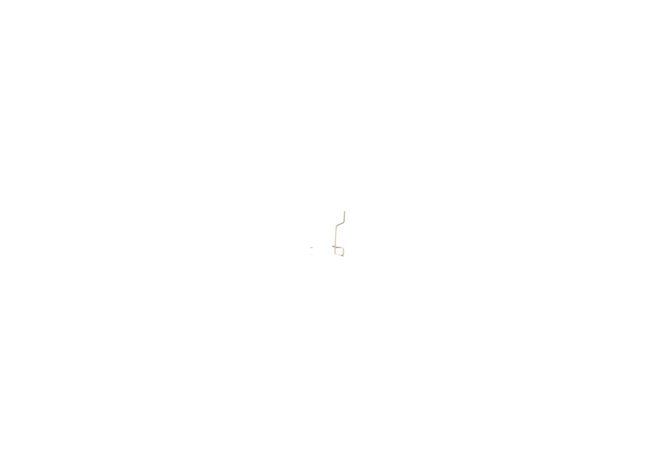 Foto/Grafica