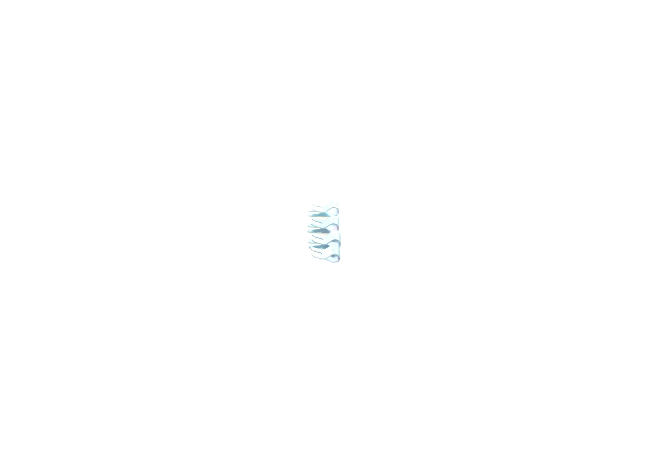 Foto/Grafica