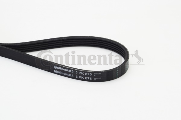 Foto/Grafica