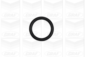 Foto/Grafica