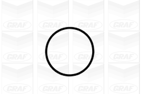 Foto/Grafica