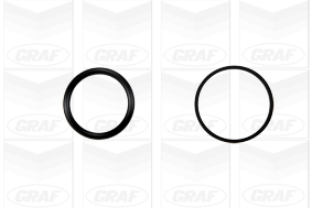 Foto/Grafica