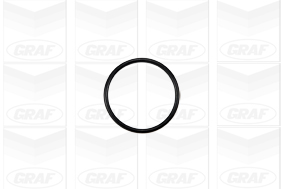 Foto/Grafica