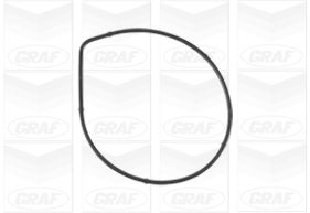 Foto/Grafica