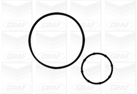 Foto/Grafica