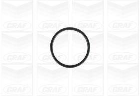 Foto/Grafica