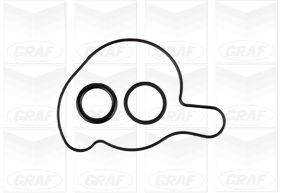 Foto/Grafica