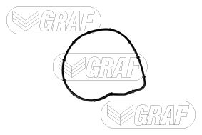 Foto/Grafica