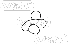 Foto/Grafica