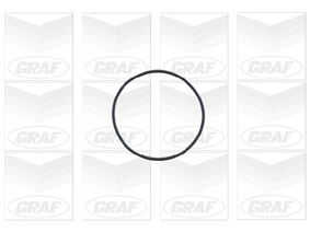 Foto/Grafica