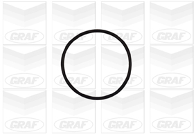 Foto/Grafica