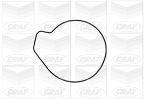 Foto/Grafica