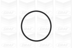 Foto/Grafica