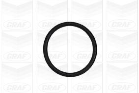 Foto/Grafica