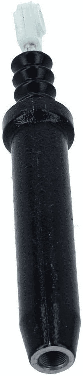 Foto/Grafica