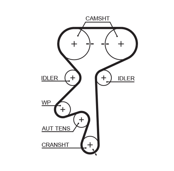 Foto/Grafica