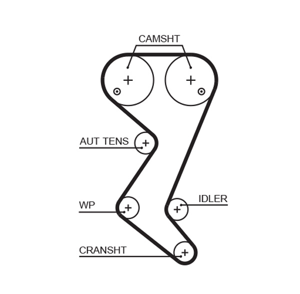Foto/Grafica