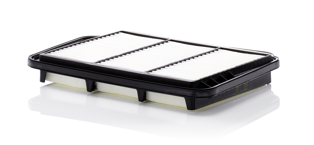 Foto/Grafica
