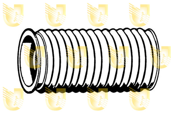 Foto/Grafica