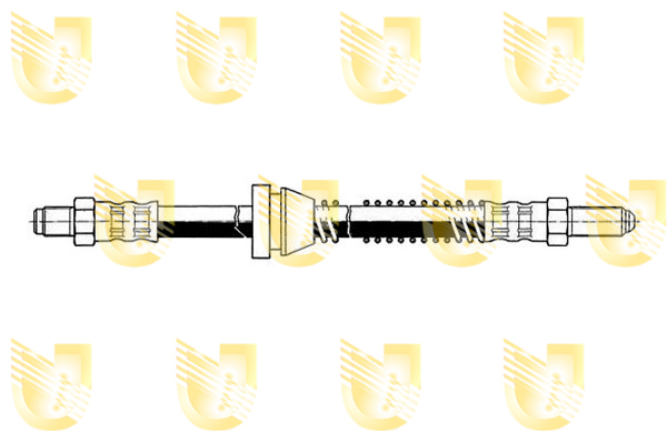 Foto/Grafica