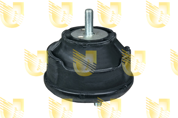 Foto/Grafica