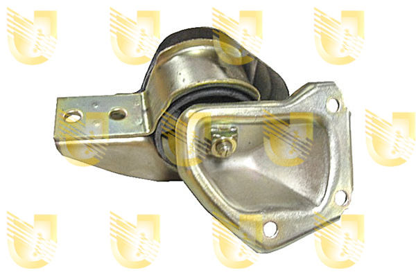 Foto/Grafica