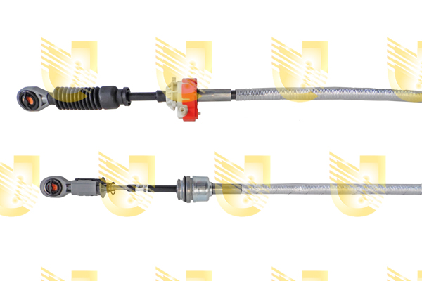 Foto/Grafica