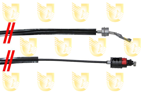 Foto/Grafica