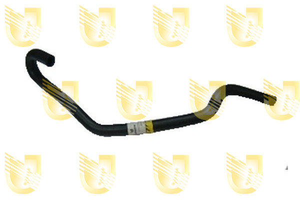Foto/Grafica