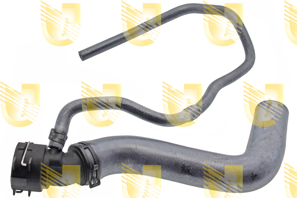 Foto/Grafica