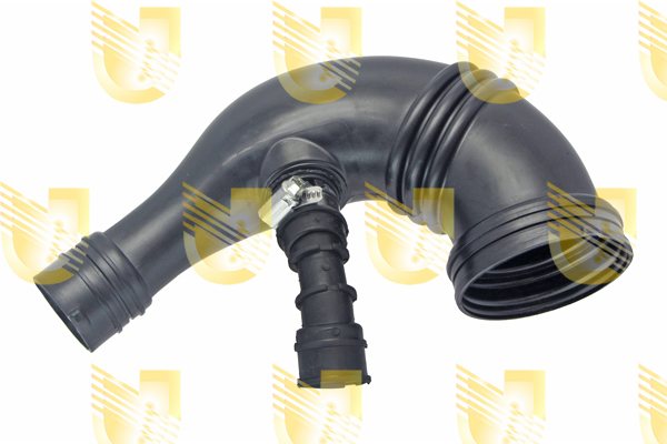 Foto/Grafica