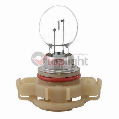 Foto/Grafica
