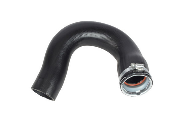 Foto/Grafica