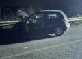 Incidente Palo