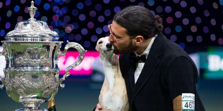 Cane più bello del mondo