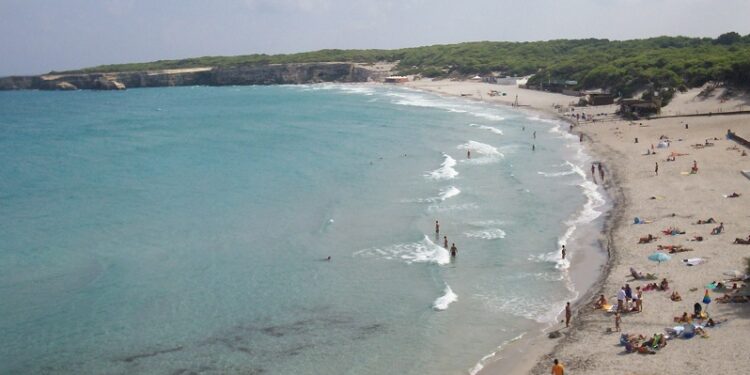 Torre Dell'orso