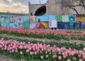 Tulipark Bari 2