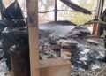 Incendio Tremiti5
