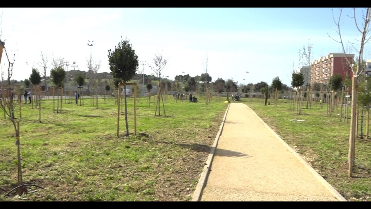 Si Inaugura A Japigia L’area Del Bosco Urbano Dedicato Alle Vittime Del Covid: “zona Riqualificata” – Video